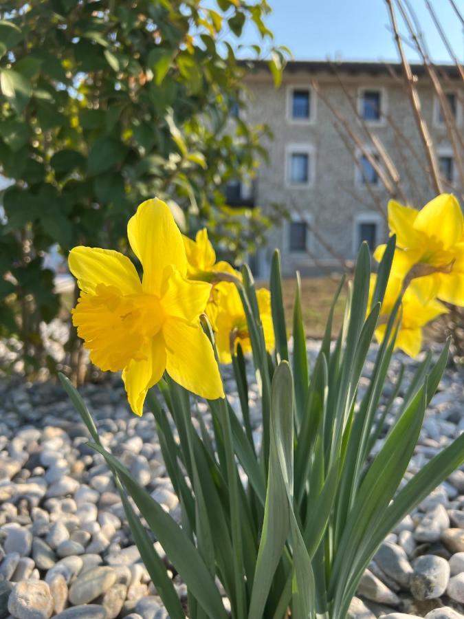 Atmosfere Charme & Country Hotel Borgo San Mauro Exterior photo
